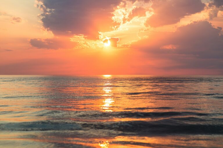 Sebastien Gabriel Imlv9jlb24 Unsplash